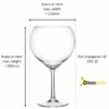Large Balloon Gin Glass Measurements
