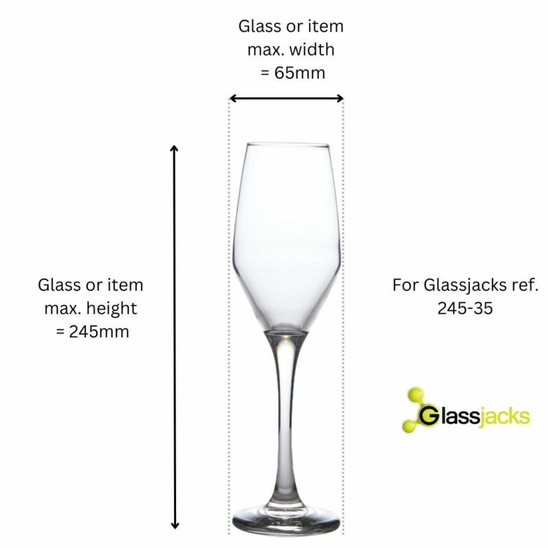 Tall Champagne Flute Prosecco Flute Measurements