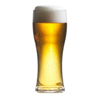 Plastic Pilsner Beer Pint Glass