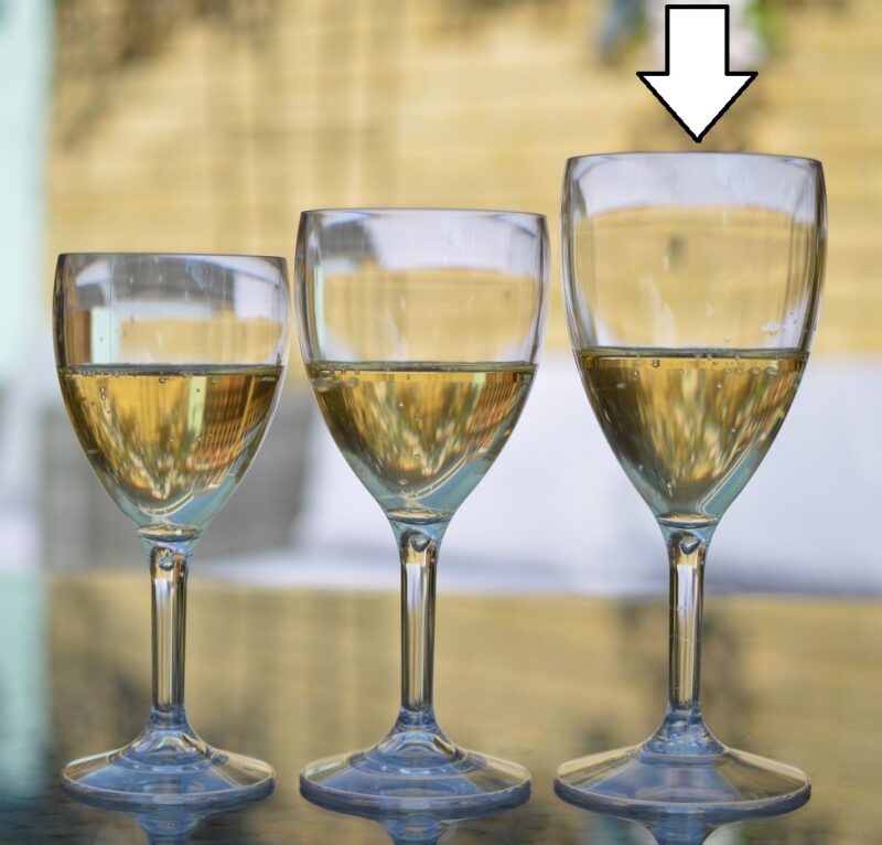 Plastic Wine Glasses