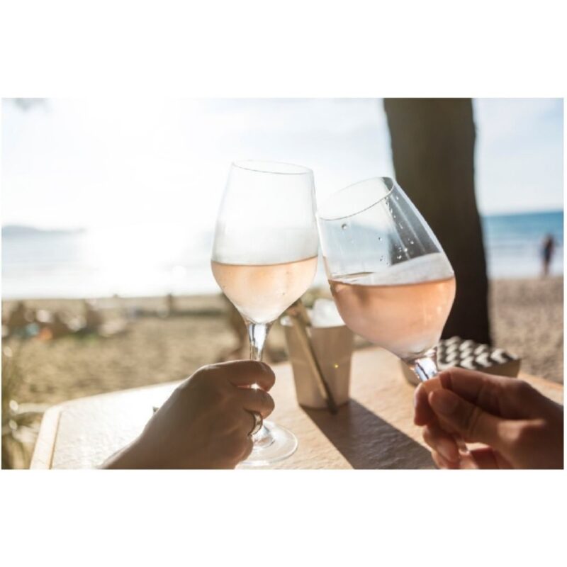 Plastic Wine Glasses - Unbreakable and Reusable