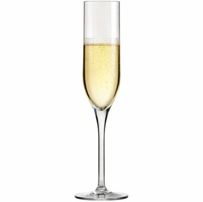 glassforever Premium Plastic Champagne Flute and Glass II