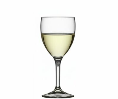 Plastic Polycarbonate Wine Glass 9oz Medium - Glassjacks