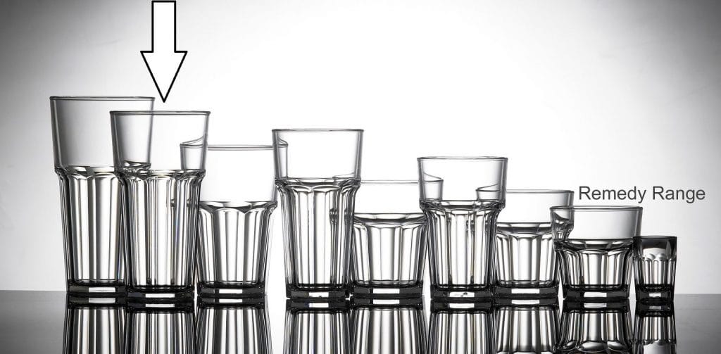 Elite Remedy Plastic Glasses, 16oz Tall Tumblers Glassjacks Ltd