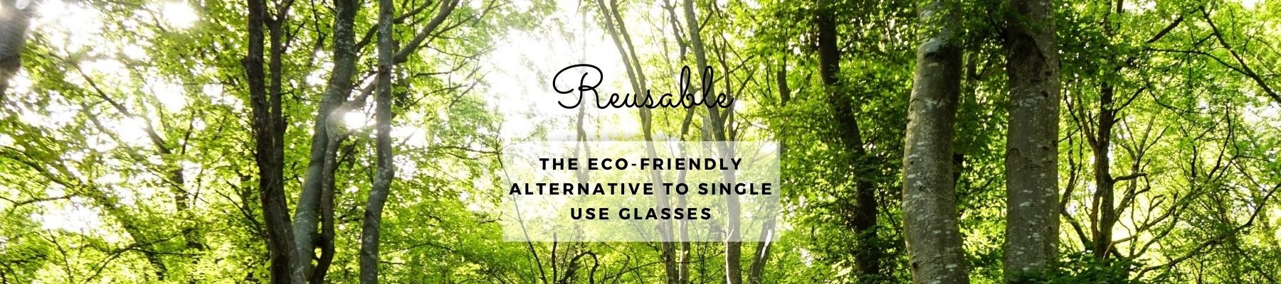 Environmentally Friendly Reusable Plastic Glasses III