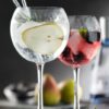 Utopia Reserva Balloon Gin Glass 20oz