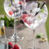 Utopia Reserva Balloon Gin Glass 20oz II