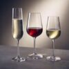 Strix Champagne Flute 20cl 7oz GJ-1SF73-200 II