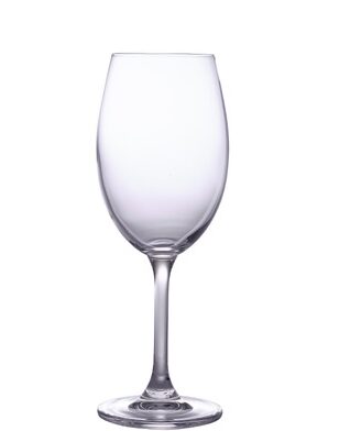 Sylvia Small Wine Glass 25cl 8.8oz Genware