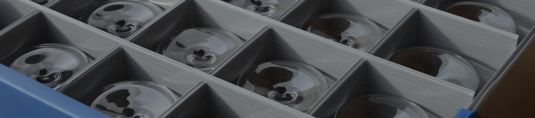 Glassjacks - Glassware Storage Boxes and Crates II