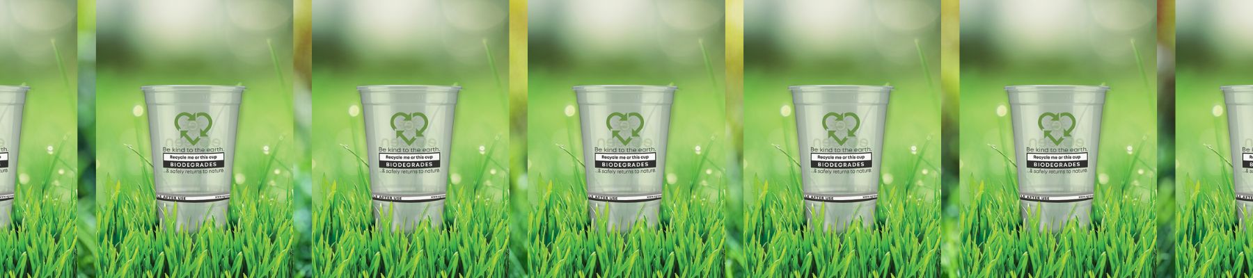 Biodegradable Cups - Glassjacks IV