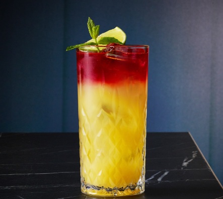 Fully Tempered Edinburgh Hiball Tumbler Glasses